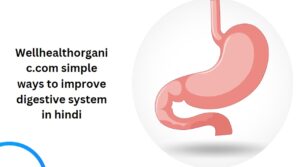 Wellhealthorganic.com simple ways to improve digestive system in hindi