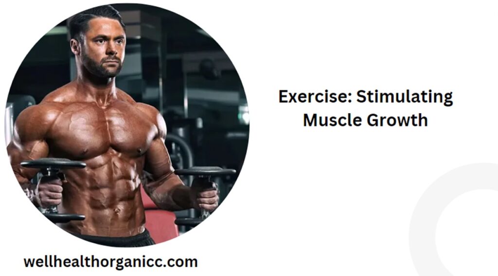 wellhealth how to build muscle tag